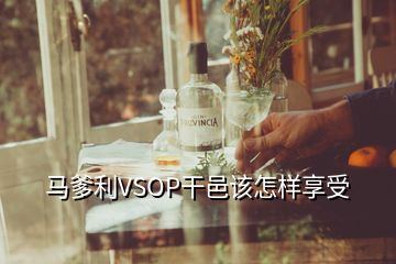 馬爹利VSOP干邑該怎樣享受