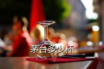 茅臺多少杯