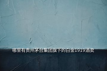 哪里有貴州茅臺集團旗下的白金1919酒賣