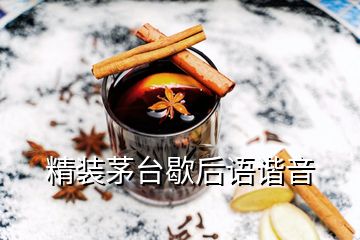 精裝茅臺歇后語諧音