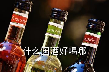 什么國酒好喝哪