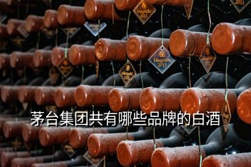 茅臺集團(tuán)共有哪些品牌的白酒