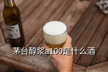 茅臺醇漿a100是什么酒