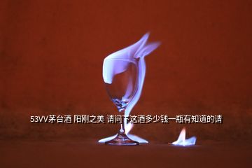 53VV茅臺(tái)酒 陽剛之美 請(qǐng)問下這酒多少錢一瓶有知道的請(qǐng)