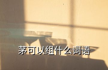 茅可以組什么詞語