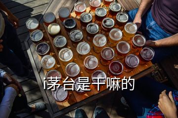 i茅臺(tái)是干嘛的