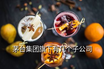 茅臺(tái)集團(tuán)旗下有幾個(gè)子公司