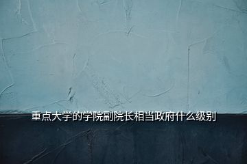 重點大學(xué)的學(xué)院副院長相當(dāng)政府什么級別