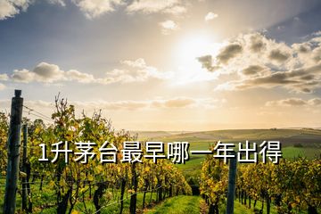 1升茅臺(tái)最早哪一年出得