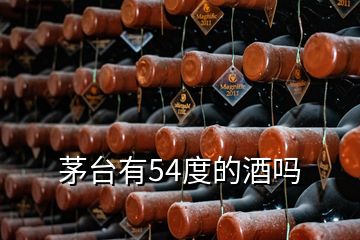 茅臺(tái)有54度的酒嗎