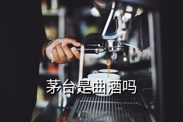 茅臺是曲酒嗎