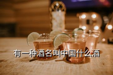 有一種酒名叫中國什么酒