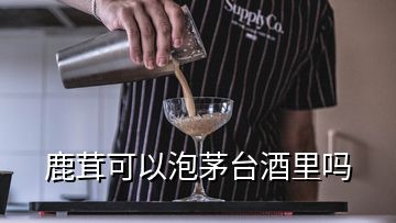 鹿茸可以泡茅臺(tái)酒里嗎