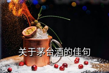 關(guān)于茅臺(tái)酒的佳句