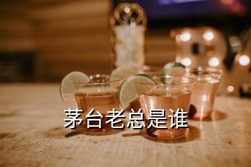 茅臺老總是誰