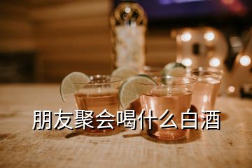 朋友聚會喝什么白酒