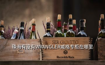 珠海有沒有WRANGLER威格專柜在哪里