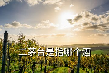 二茅臺是指哪個酒