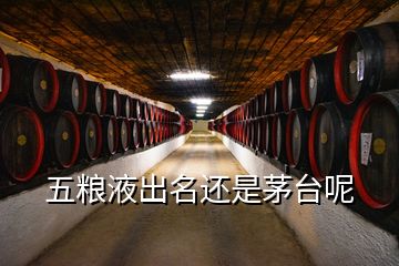 五糧液出名還是茅臺呢