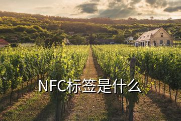 NFC標(biāo)簽是什么