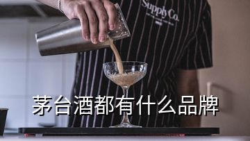 茅臺酒都有什么品牌