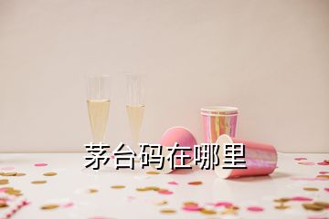 茅臺(tái)碼在哪里