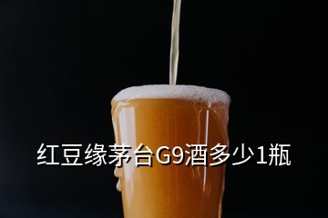 紅豆緣茅臺(tái)G9酒多少1瓶