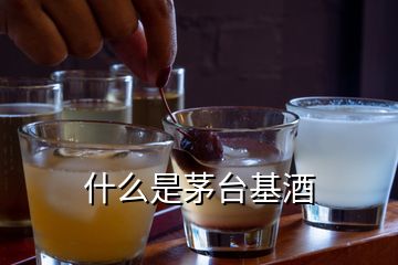 什么是茅臺基酒