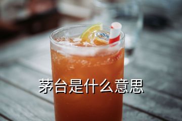 茅臺(tái)是什么意思