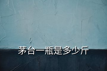 茅臺一瓶是多少斤