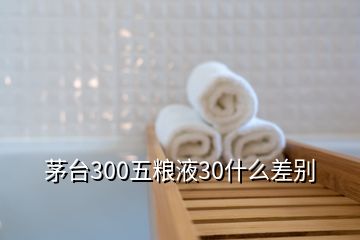 茅臺300五糧液30什么差別