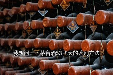 我想問(wèn)一下茅臺(tái)酒53飛天的鑒別方法