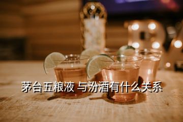 茅臺五糧液 與汾酒有什么關(guān)系