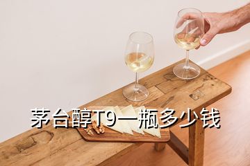 茅臺(tái)醇T9一瓶多少錢(qián)