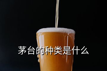 茅臺的種類是什么