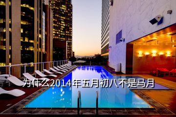 為什么2014年五月初八不是馬月