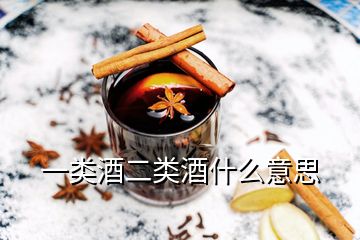 一類酒二類酒什么意思