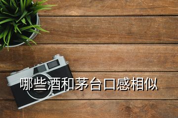 哪些酒和茅臺(tái)口感相似