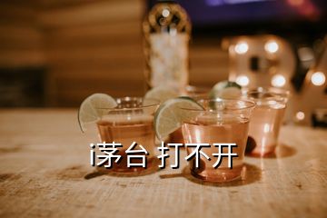 i茅臺 打不開