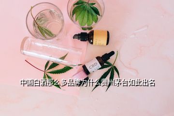 中國白酒那么多品牌為什么貴州茅臺(tái)如此出名