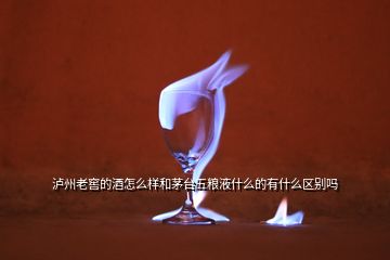 瀘州老窖的酒怎么樣和茅臺五糧液什么的有什么區(qū)別嗎