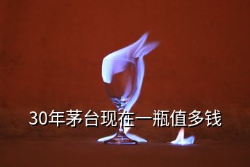 30年茅臺(tái)現(xiàn)在一瓶值多錢(qián)