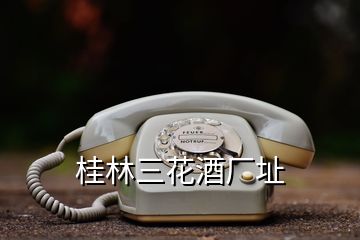 桂林三花酒廠址