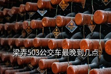 梁弄503公交車最晚到幾點(diǎn)