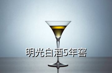 明光白酒5年窖