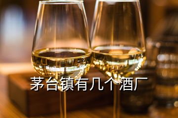 茅臺(tái)鎮(zhèn)有幾個(gè)酒廠