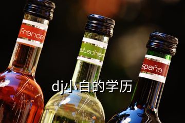 dj小白的學歷