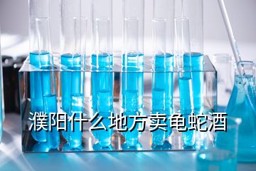 濮陽什么地方賣龜蛇酒