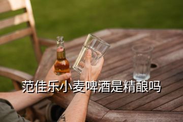 范佳樂(lè)小麥啤酒是精釀嗎