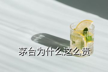 茅臺(tái)為什么這么貴